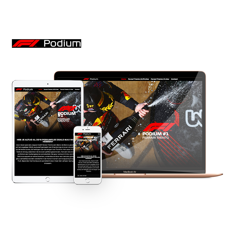Webdesign West-Friesland, Snel een webdesigner - Project Direct ✓ Website laten maken ✓ WordPress ✓ Webdesign ✓ Webwinkel ✓ Vindbaar in Google